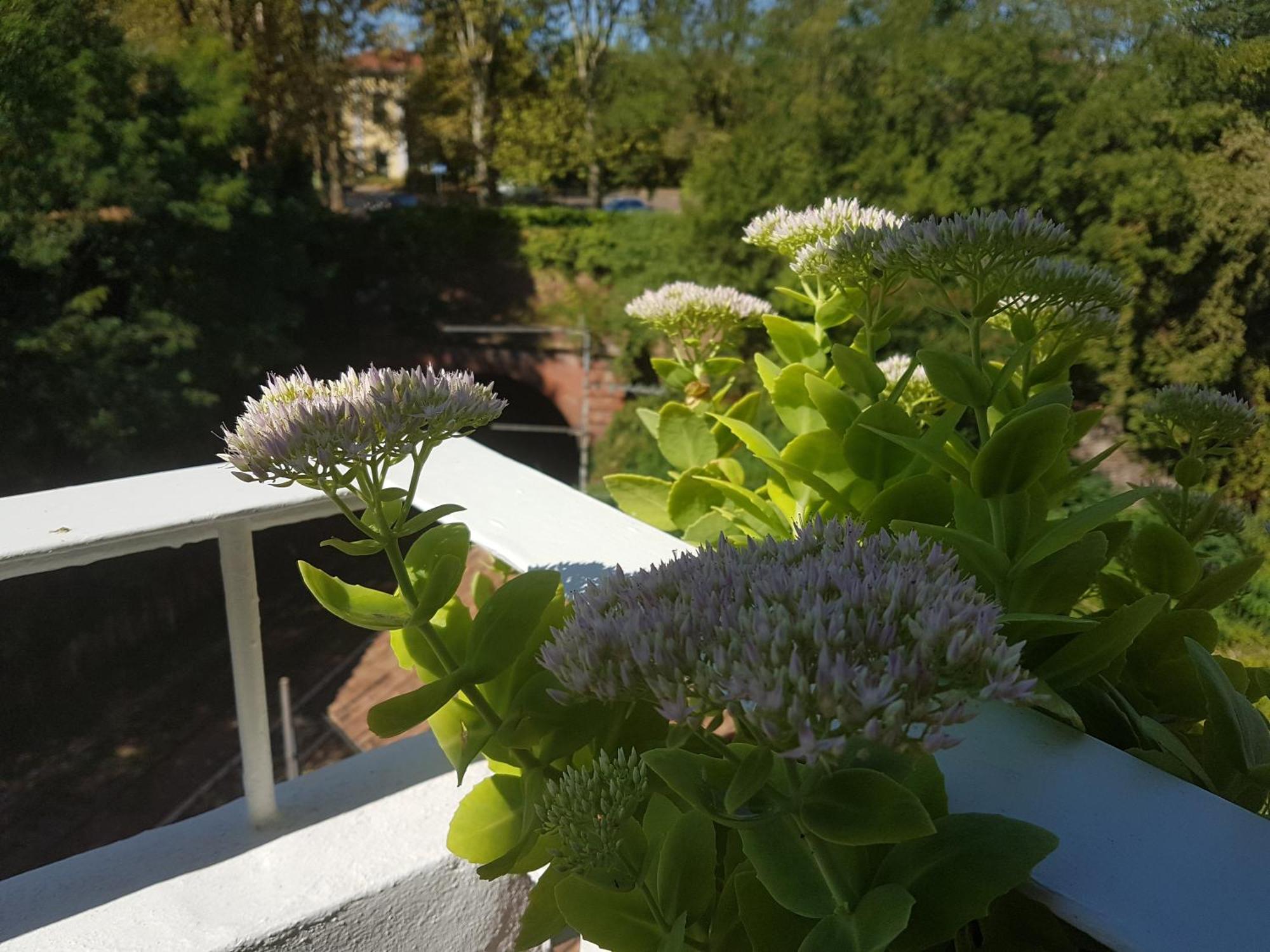 Lab42 City & San Matteo Apartment - 2 Bedrooms Pavia Exterior foto